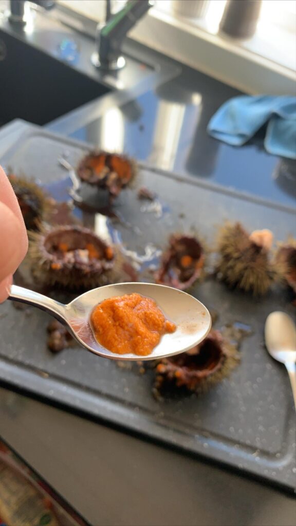 Sea Urchin Served.
