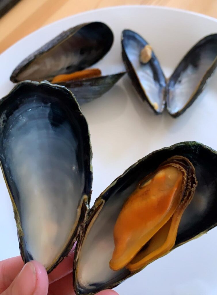 Blue mussels in Sisimiut, Greenland